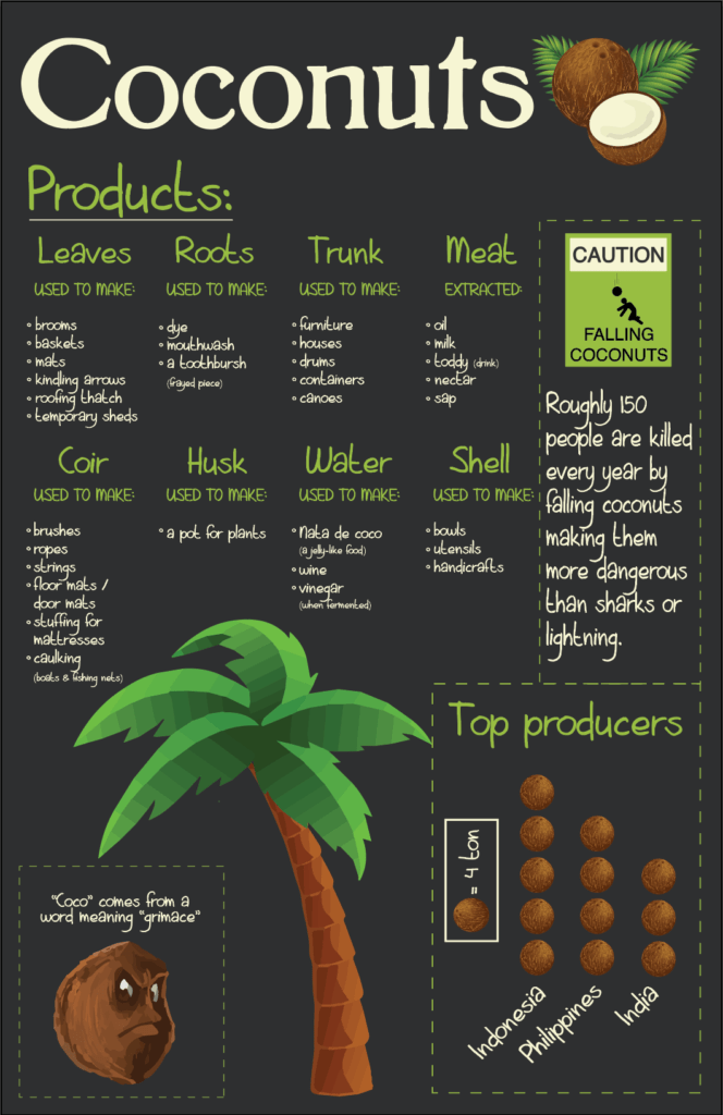 Coconut Products & Coconut Uses